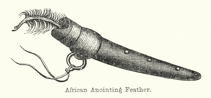 Pluma de ungüento africana de European School