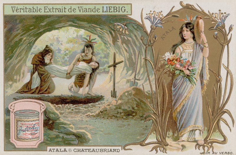 Atala de European School