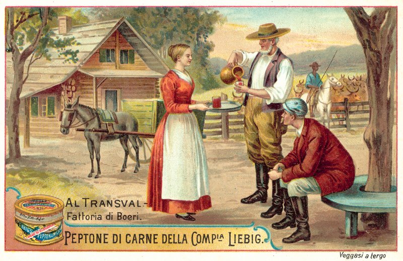 Granja bóer en el Transvaal de European School
