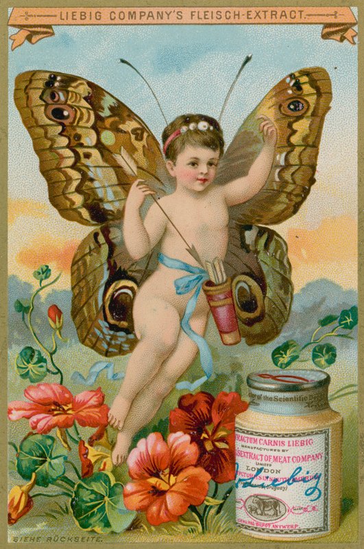 Querubín mariposa con flores rojas de European School