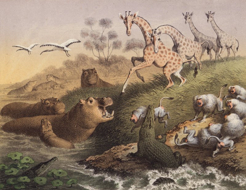A orillas del Nilo en Nubia (litografía en color) de European School