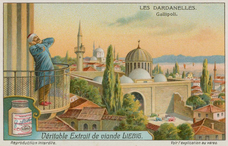 Llamada a la oración, Gallipoli de European School