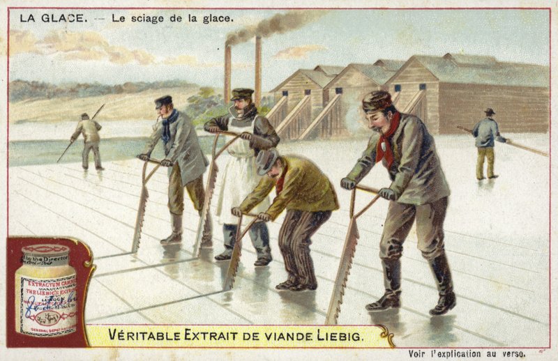 Corte de hielo con sierras de European School