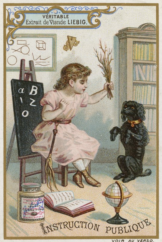 Educación de European School