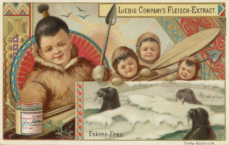 Esquimal de European School