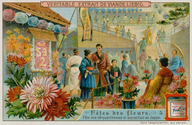 Festivales de los crisantemos en Japón de European School