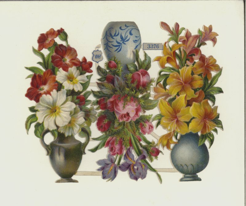 Flores de European School