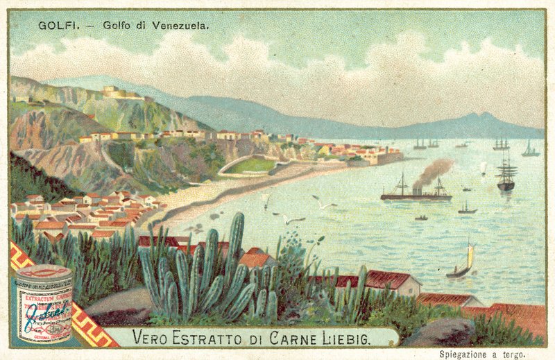 Golfo de Venezuela de European School