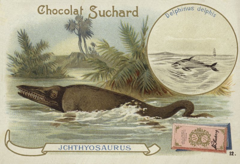 Ictiosaurio y delfín común de European School