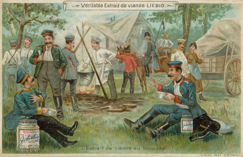 En un vivac de European School