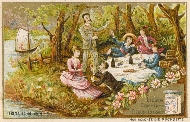 Vida en el campo de European School
