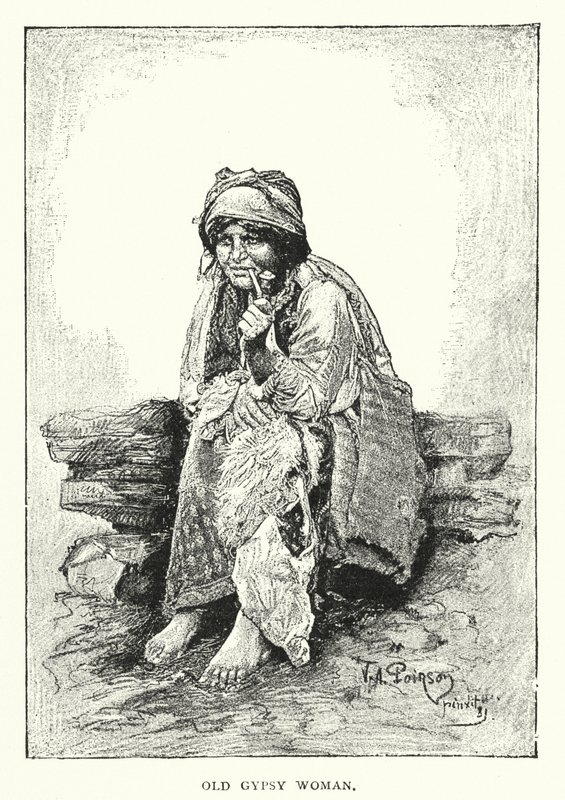 Vieja Gitana de European School