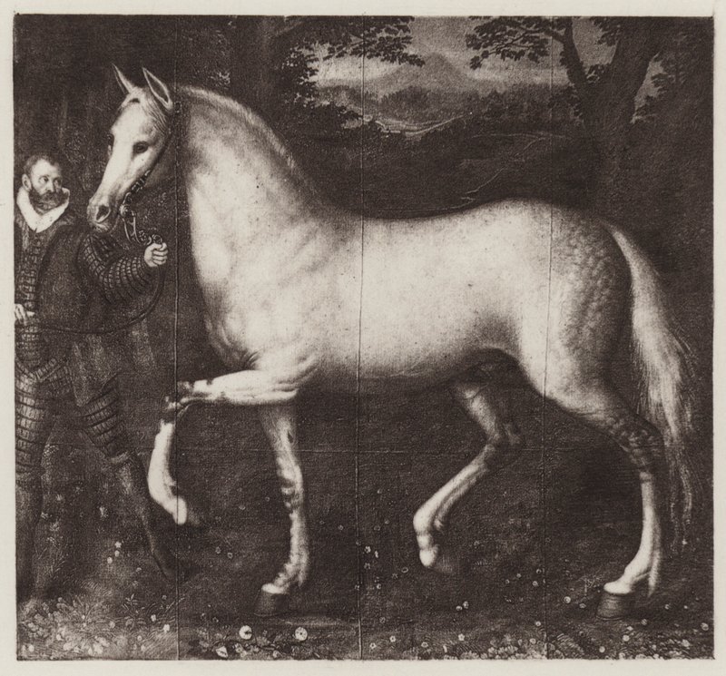 Caballo de la reina Isabel (lito) de European School
