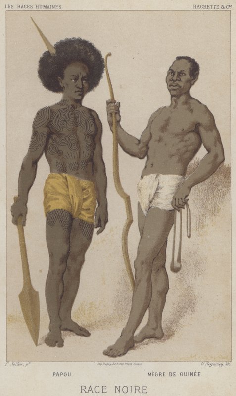 Raza negra, Papú, Negro de Guinea de European School
