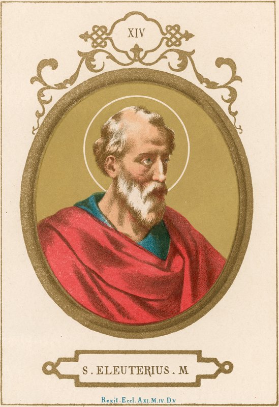 San Eleuterio M de European School