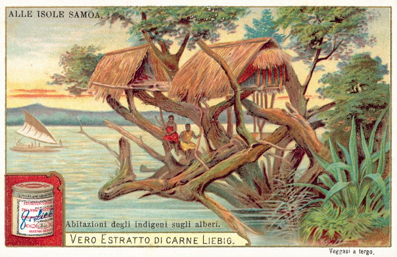 Casa del árbol samoana de European School