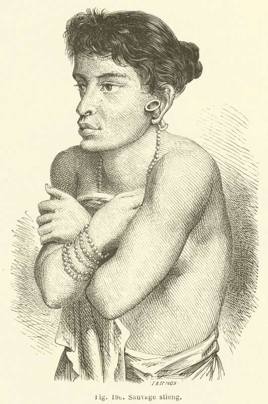 Salvaje stieng de European School