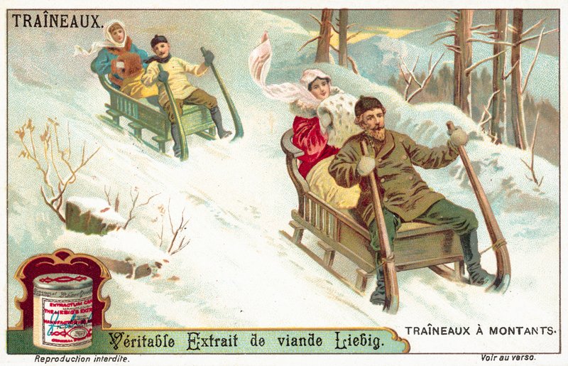 Paseo en Trineo de European School