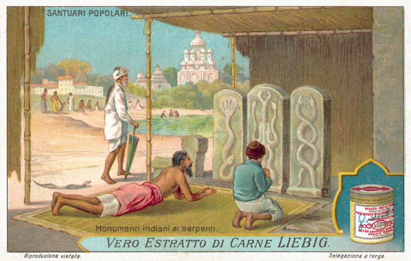 Monumentos de serpientes en India de European School