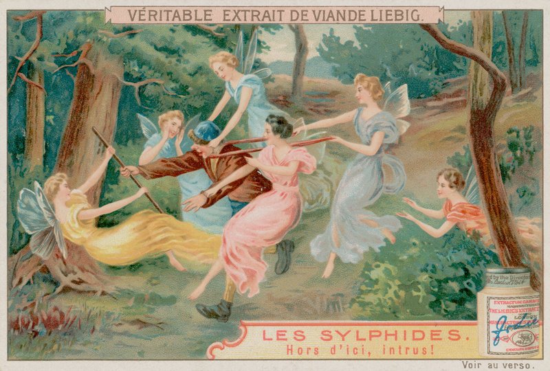 Sílfides y un Intruso de European School