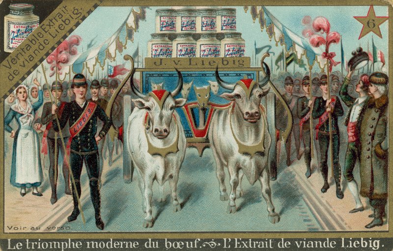 El Triunfo Moderno de la Carne de European School