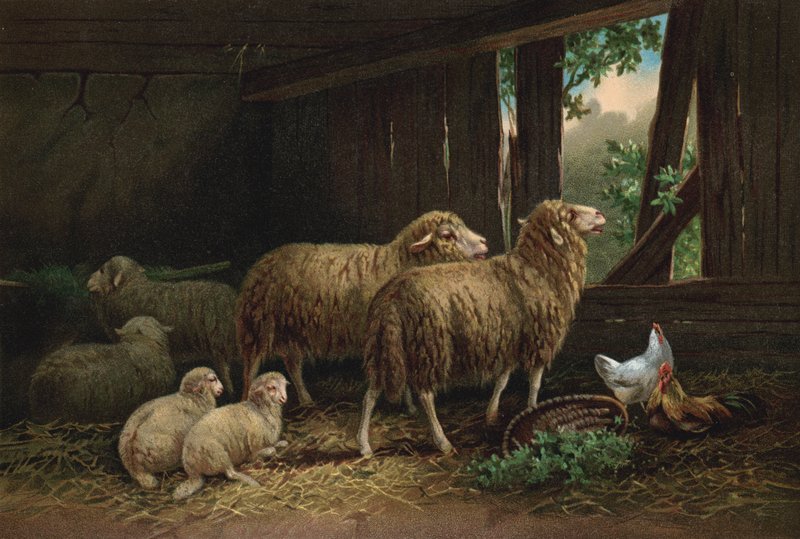 El redil (cromolito) de European School