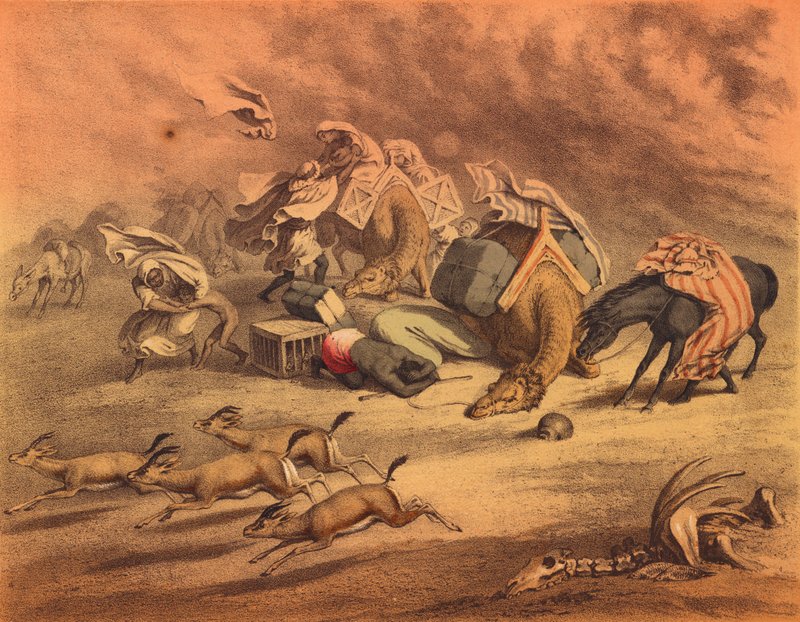 El gran desierto africano (litografía en color) de European School