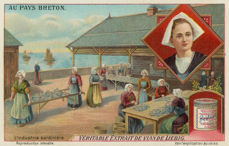 Mujeres preparando sardinas de European School