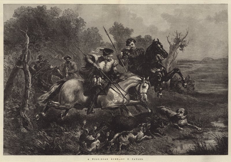 Caza de jabalíes de F. Tayler