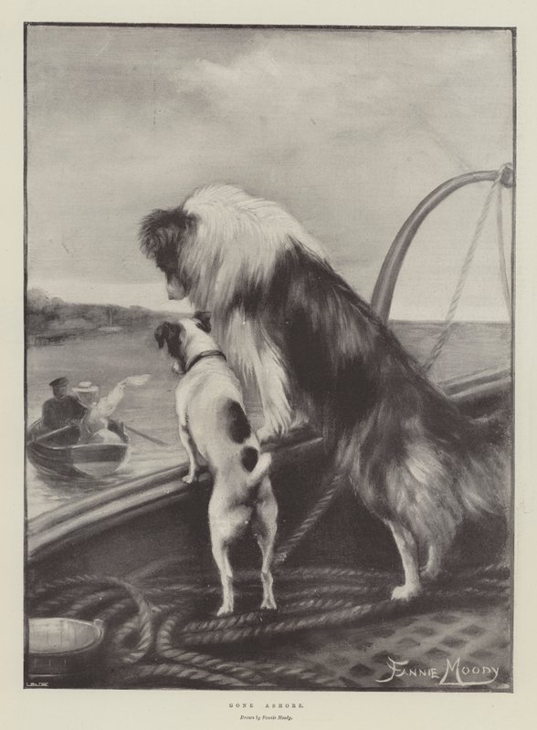 Desembarcado de Fannie Moody