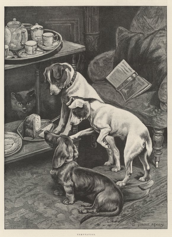 Tentación de Fannie Moody