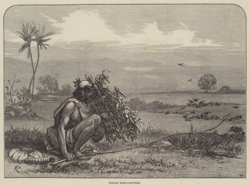 Cazador de Pájaros Indio de Felix Regamey