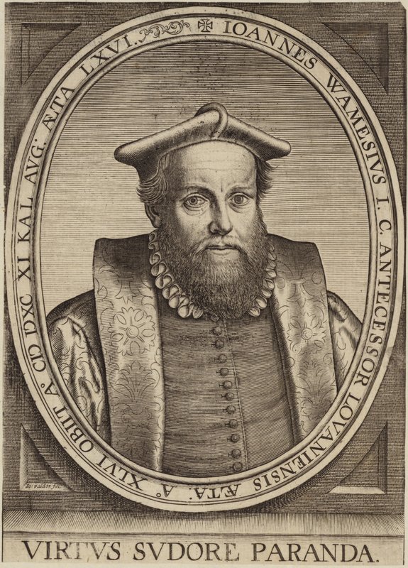 Retrato de Jan Wamesius de Flemish School