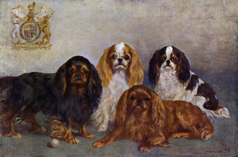 Spaniels del rey Carlos de Frances C. Fairman