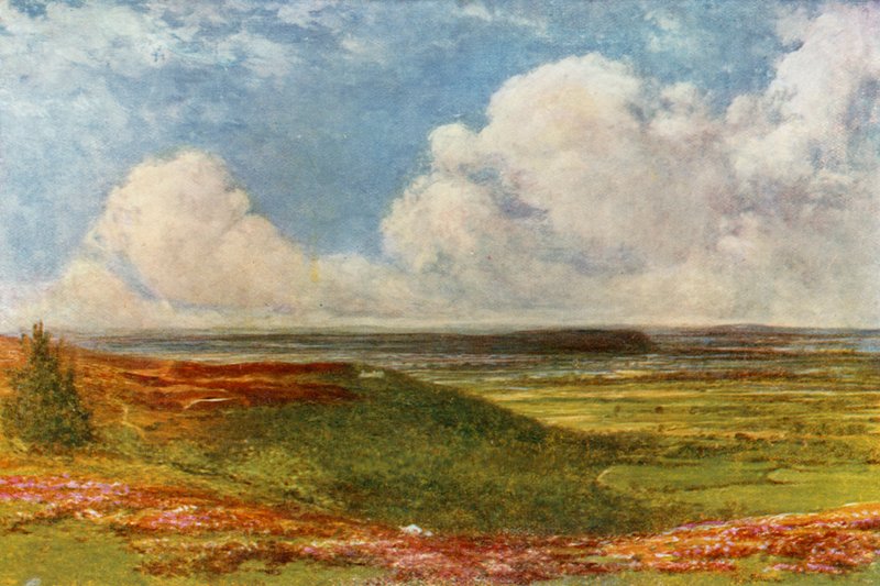 Blackdown Common de Francis S. Walker