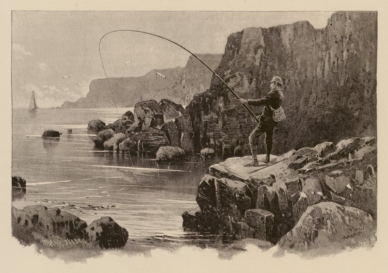 Pesca de la lubina (grabado) de Frank (after) Feller