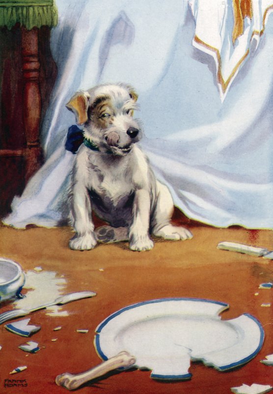 Perro con plato roto de Frank Adams