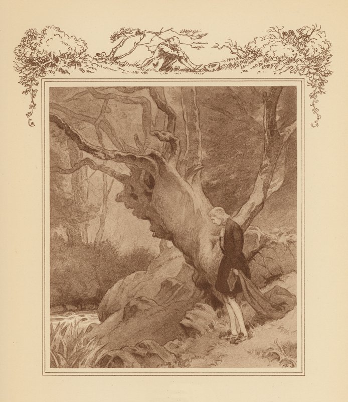 Ilustración para Gray