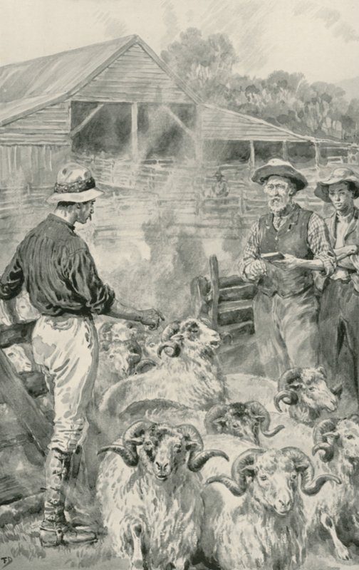 Una Estación de Ovejas en las Llanuras de Canterbury de Frank Dadd