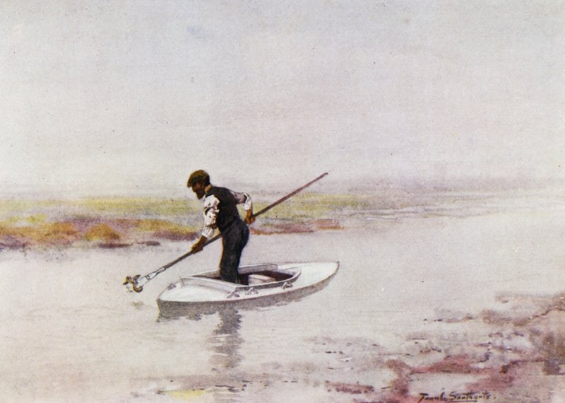 Norfolk Broads: Recolección de Anguilas de Frank Southgate