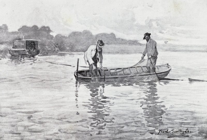 Norfolk Broads: Levantando las trampas de anguilas de Frank Southgate