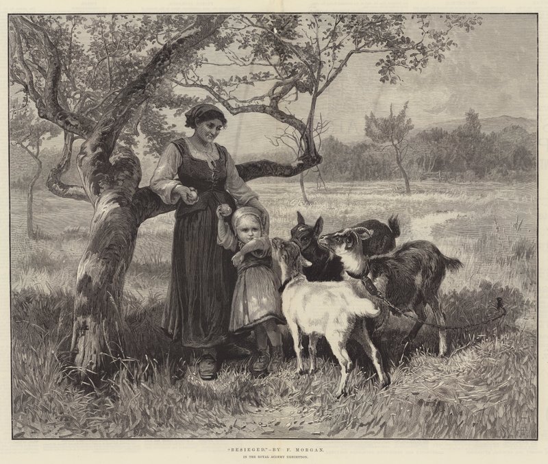 Asediado de Frederick Morgan