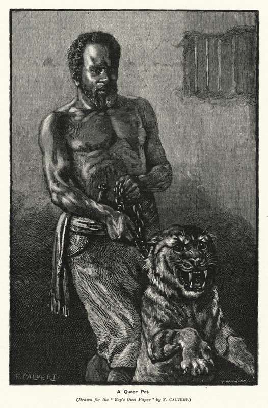 Una mascota extraña de Frederick (after) Calvert