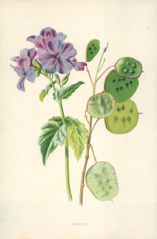 Honestidad de Frederick Edward Hulme
