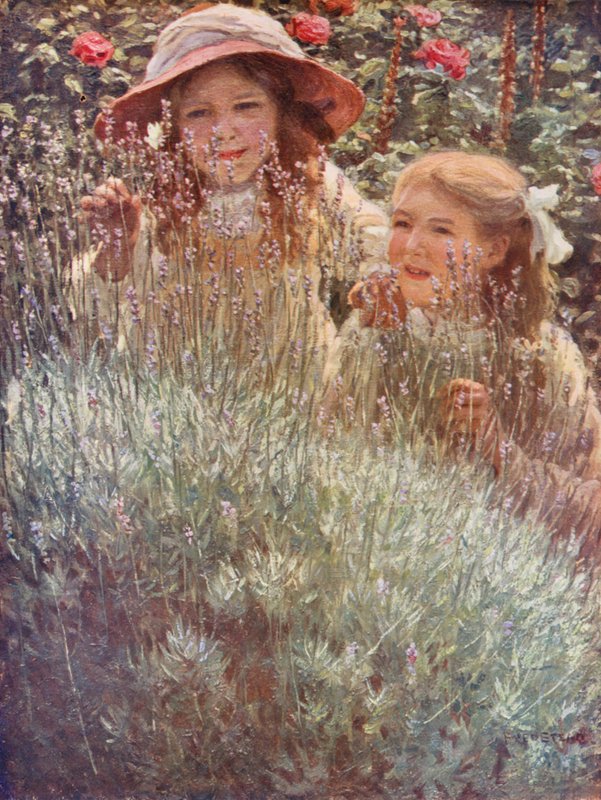 El arbusto de lavanda (litografía en color) de Frederick Stead