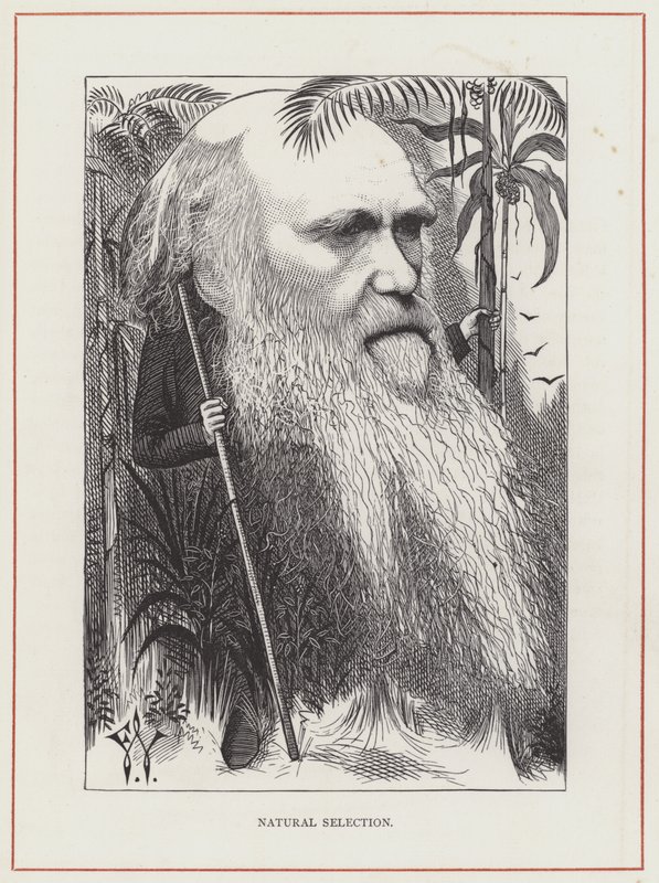 Charles Darwin, Selección Natural de Frederick Waddy