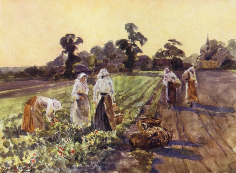 Dodging Exhall de Frederick William Newton Whitehead