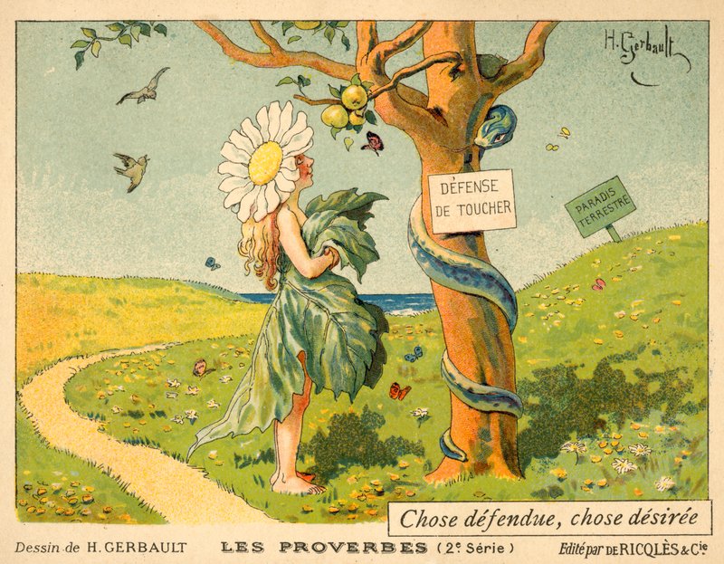 Cosa prohibida, cosa deseada de French School