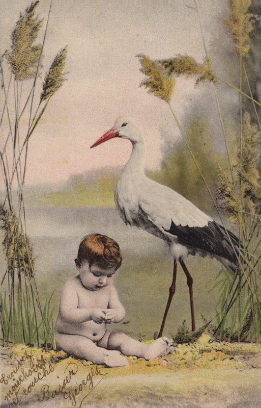 Bebé con cigüeña de French Photographer