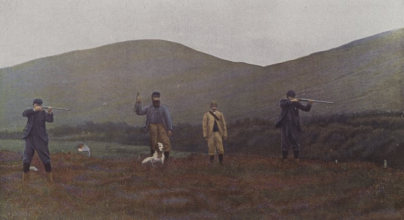 Caza de urogallos en Escocia de French Photographer
